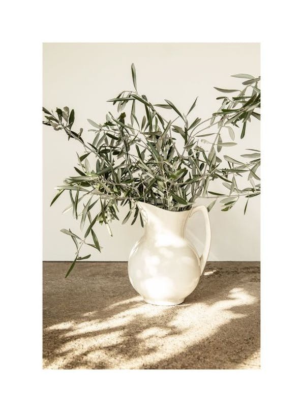 Branches in Vase Poster (50x70 cm)- Posters de plantas verdes