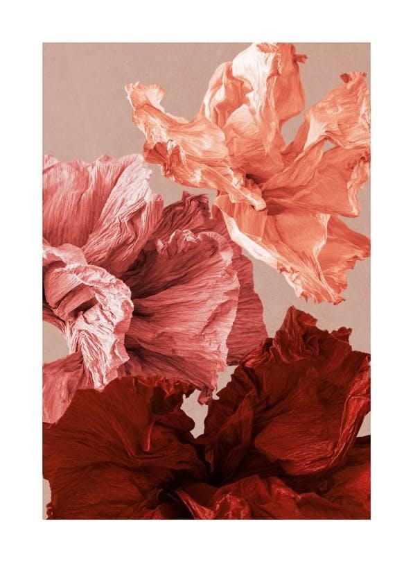 Paper Blossom No2 Plakat (50x70 cm)- Plakaty z kwiatami
