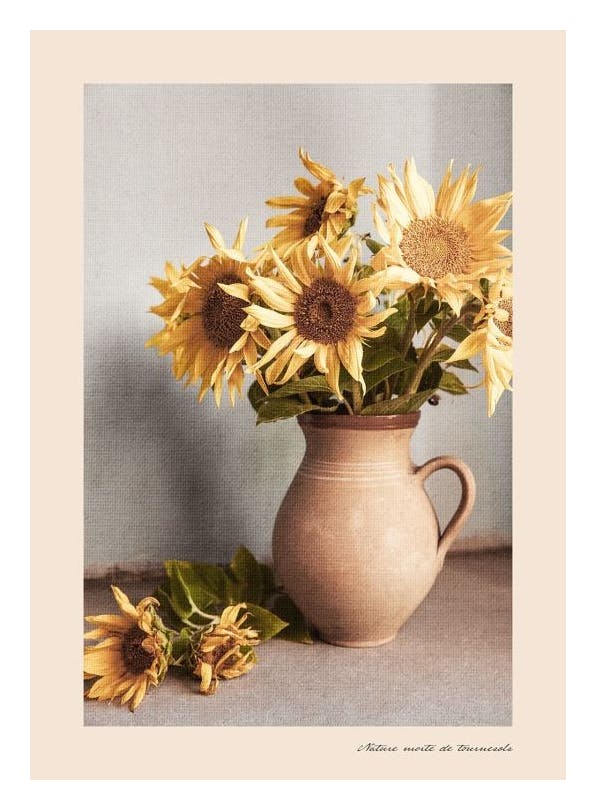 Sunflowers Still Life Poster (50x70 cm)- Posters de flores