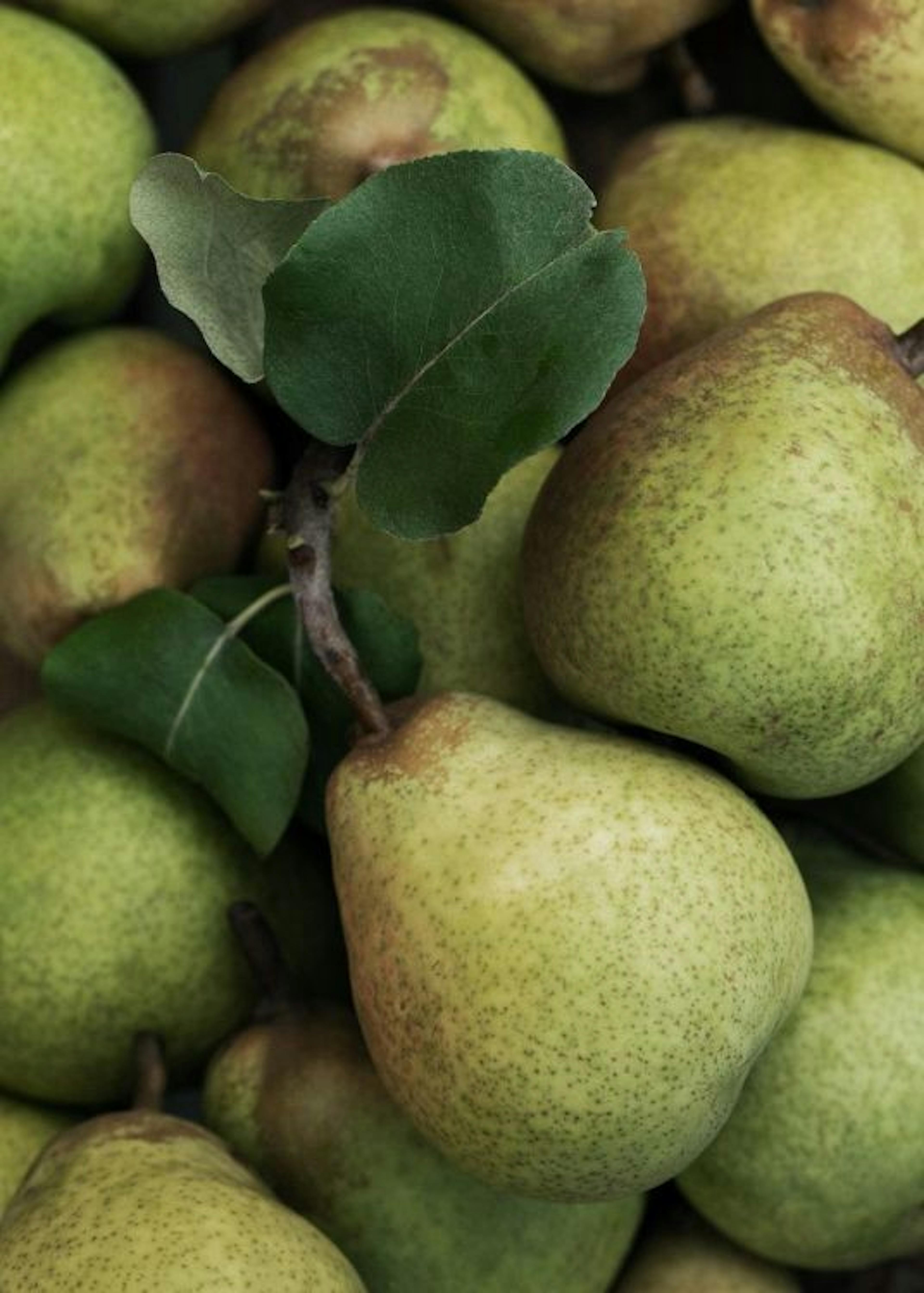 Closeup Pears Plakat