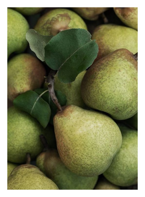 Closeup Pears Poster (50x70 cm) - Eten