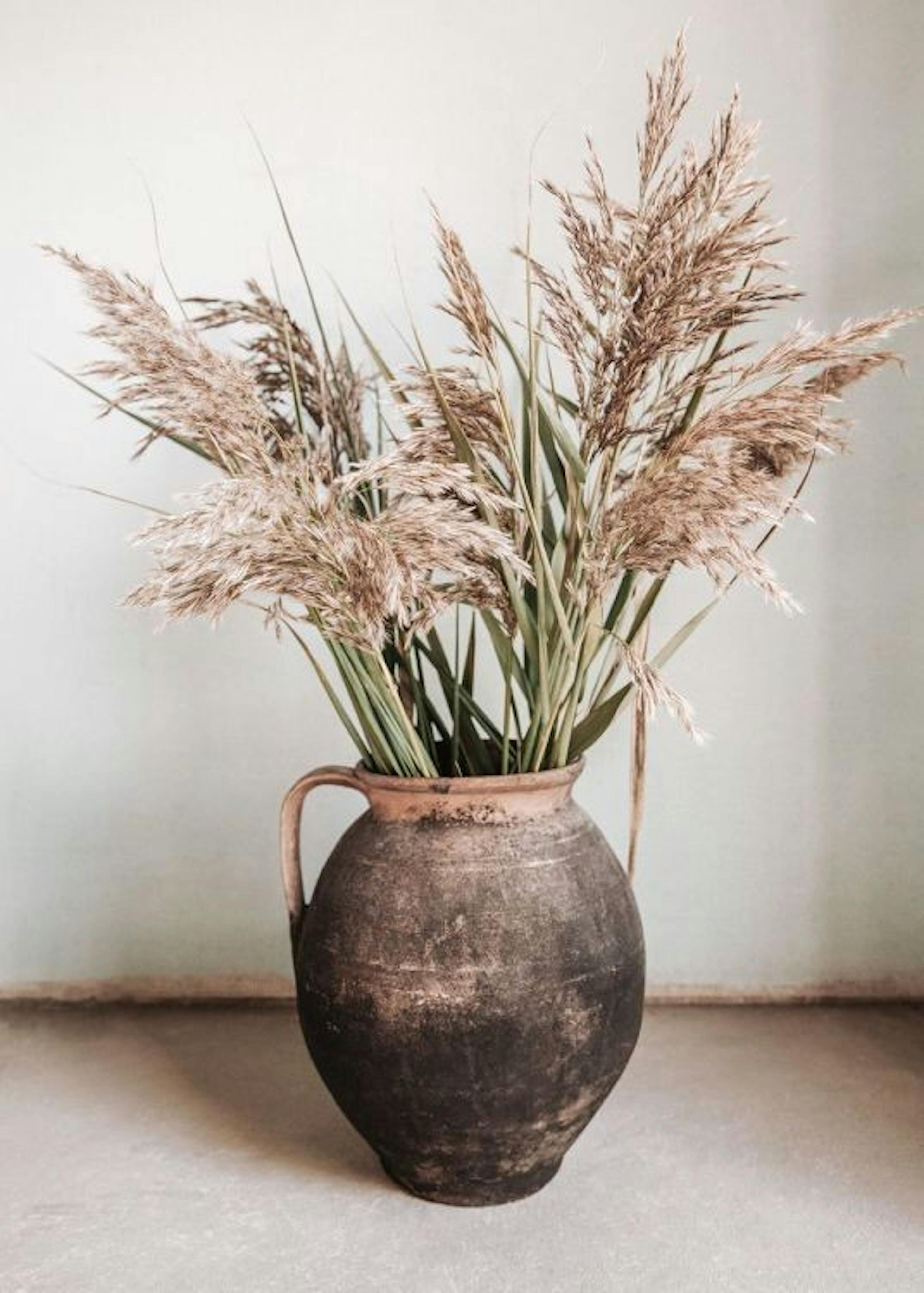 Rustic Reed Vase Poster