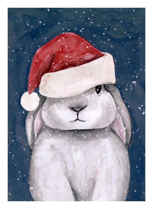 Christmas Bunny Poster (13x18 cm) - Kerstposters