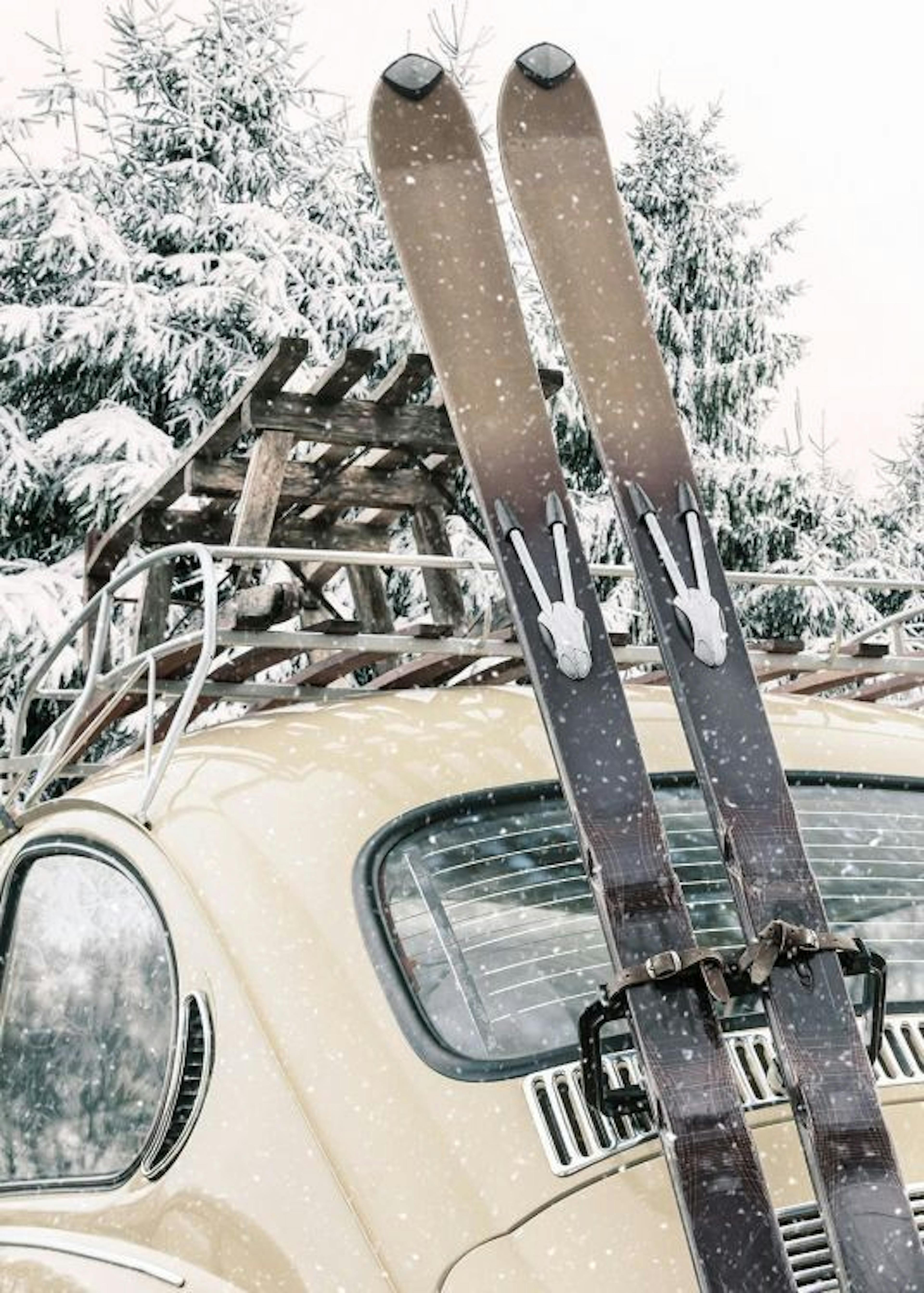 Skis and Snowfall Plagát 0