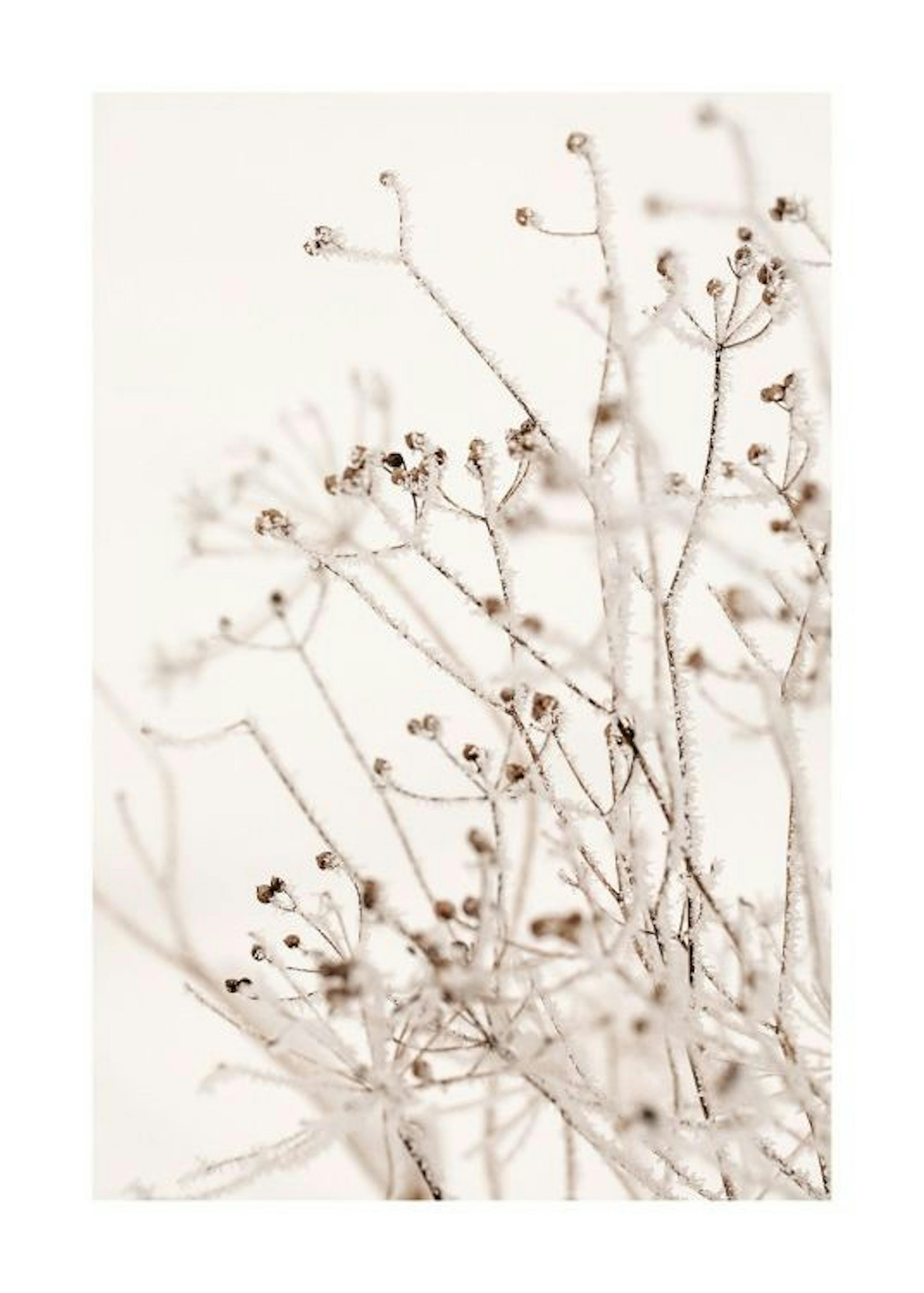 Winter Botanical Plakat 0