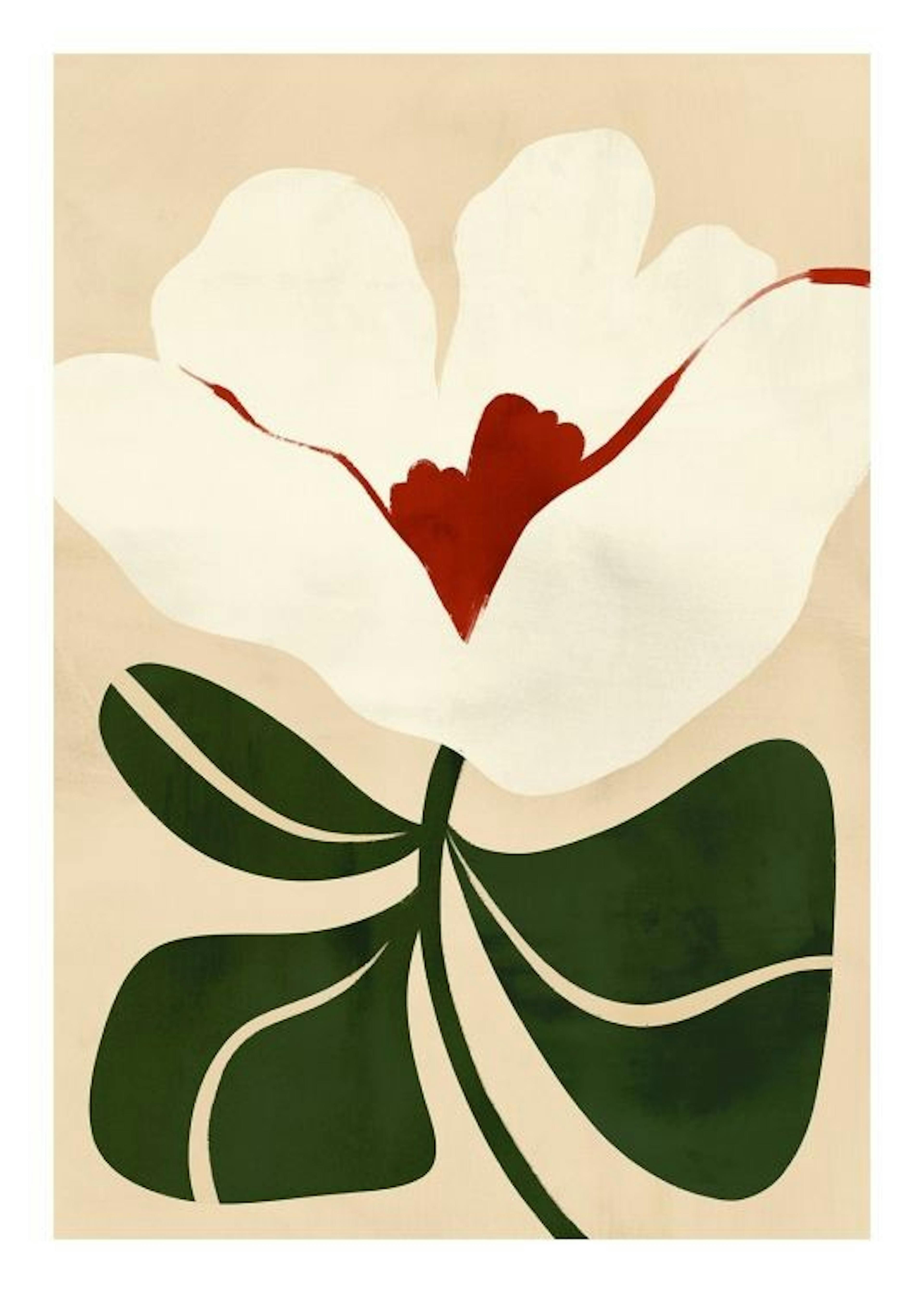 Illustrated Floral Poster 0