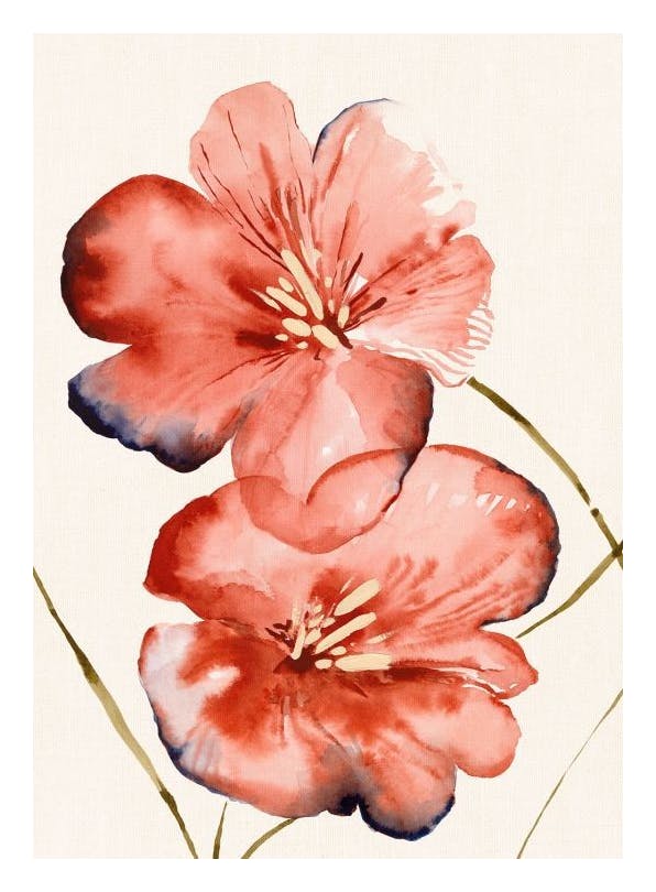 Prints - Soft Red Flowers Print (21x30 cm) - Watercolour paintings