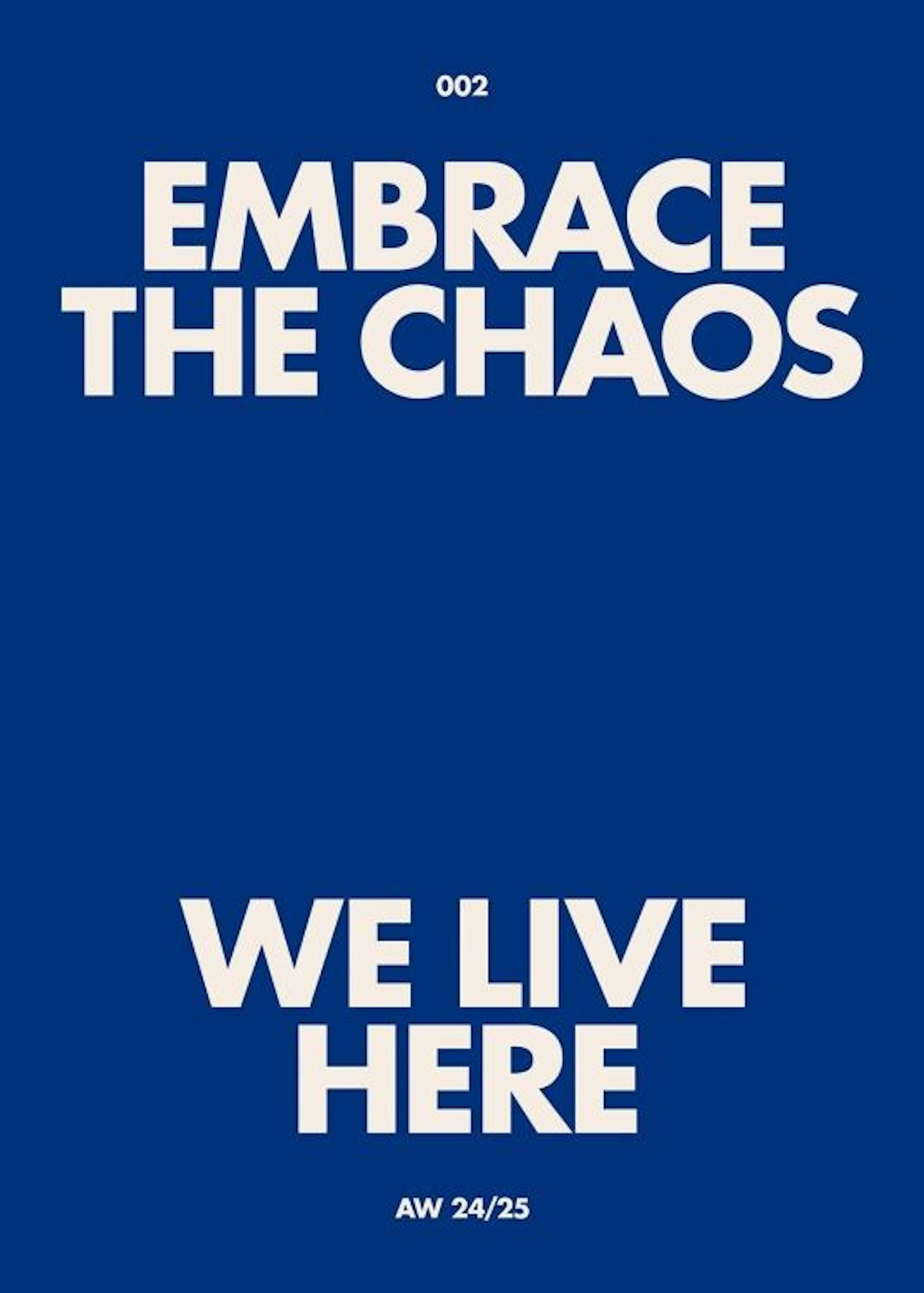 Embrace the Chaos Print