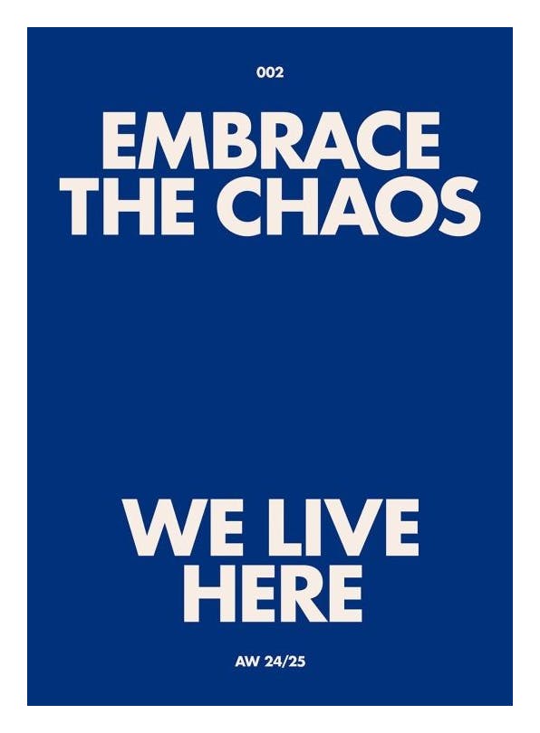 Embrace the Chaos Affiche (21x30 cm) - Affiches typographiques et citations