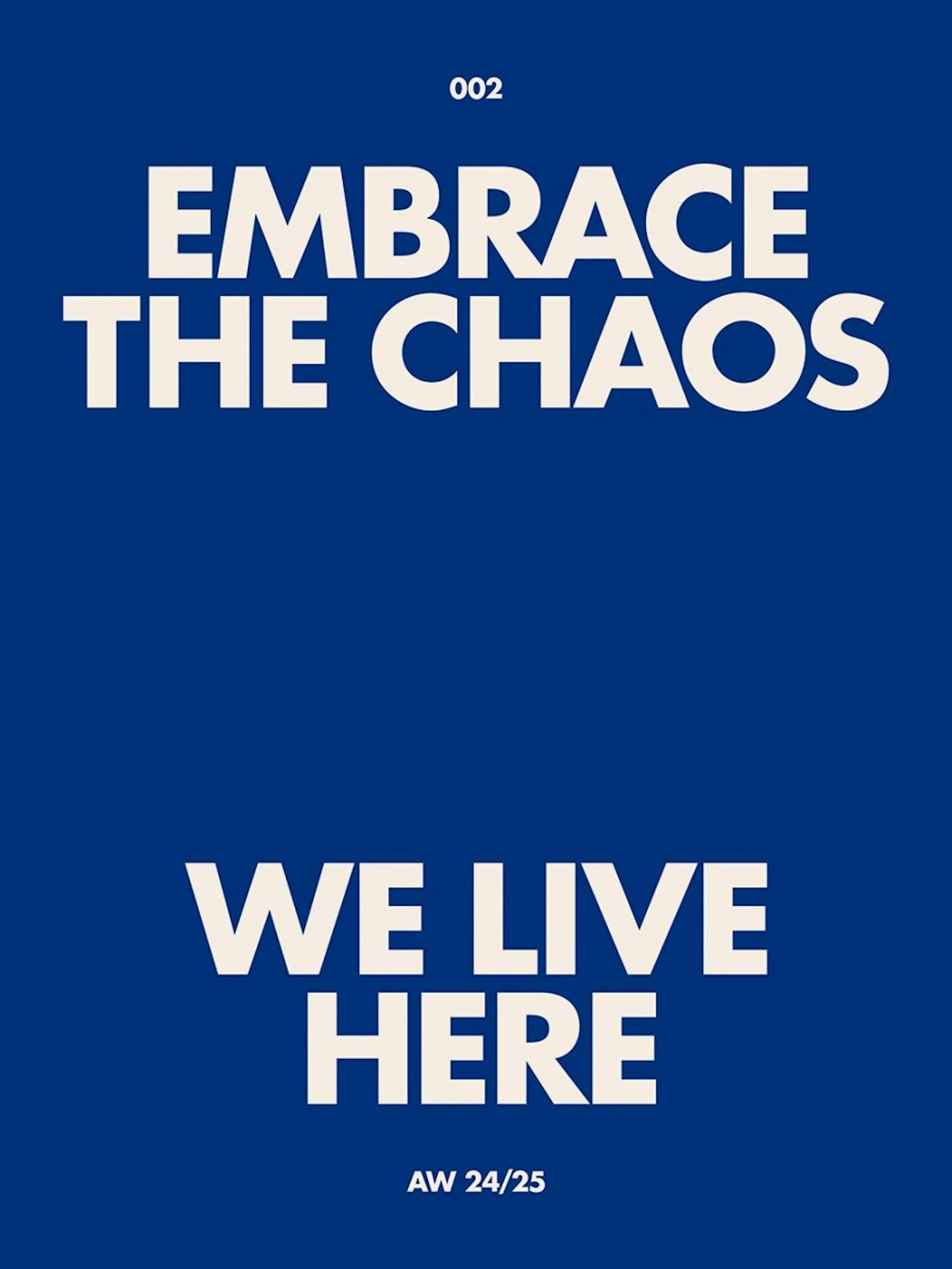 Embrace the Chaos Plakat 0