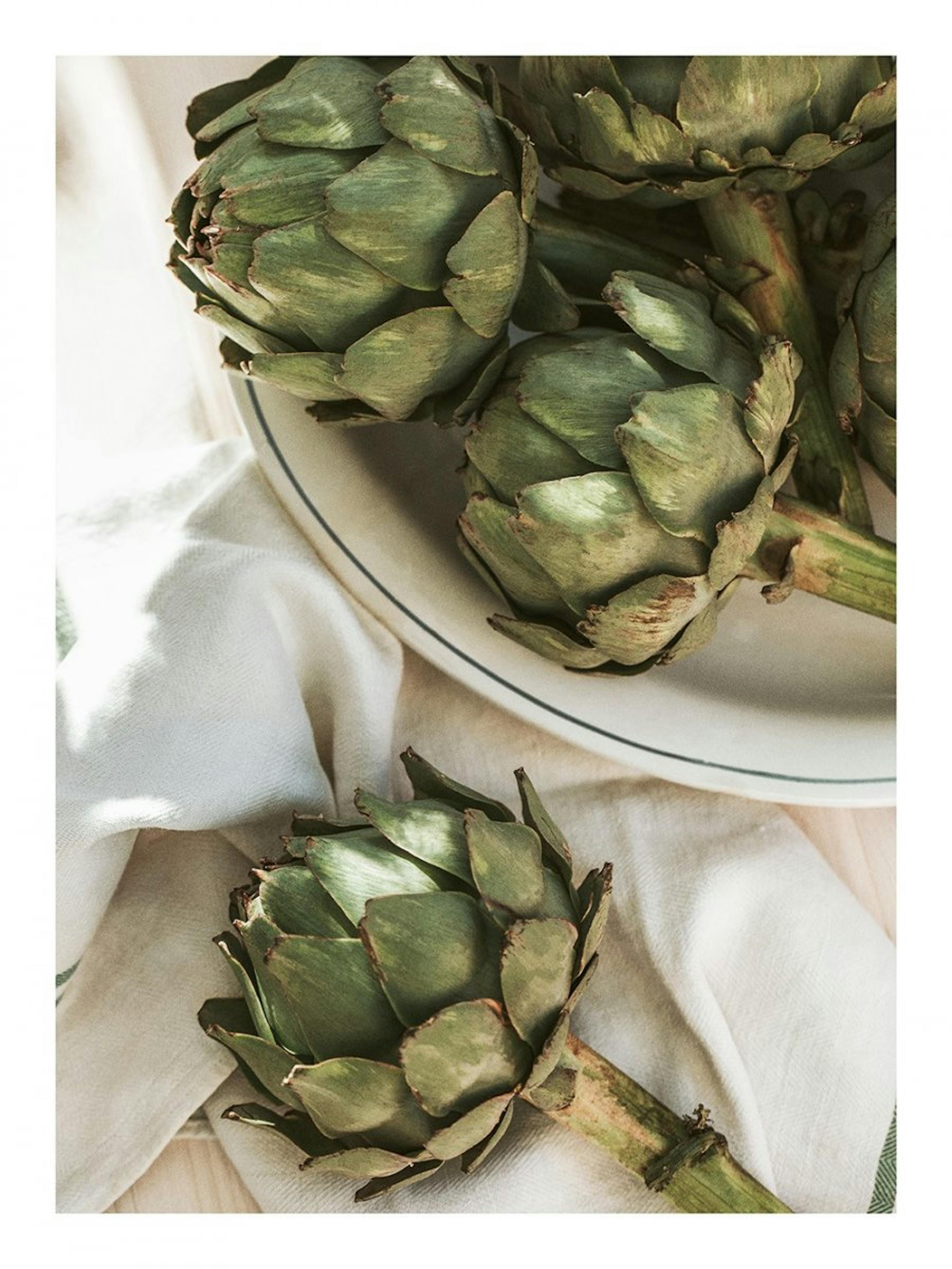 Artichoke in Sunlight Poster 0