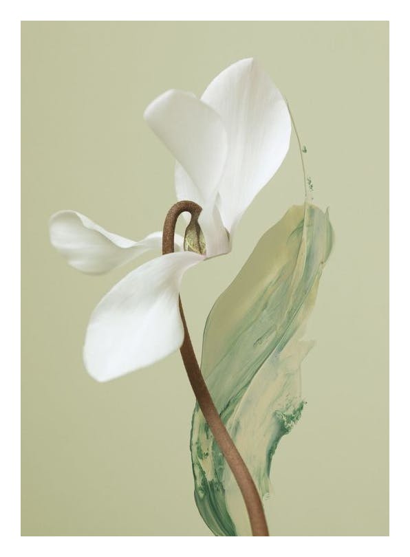 Prints - Flower Brush Print (30x40 cm) - Floral prints