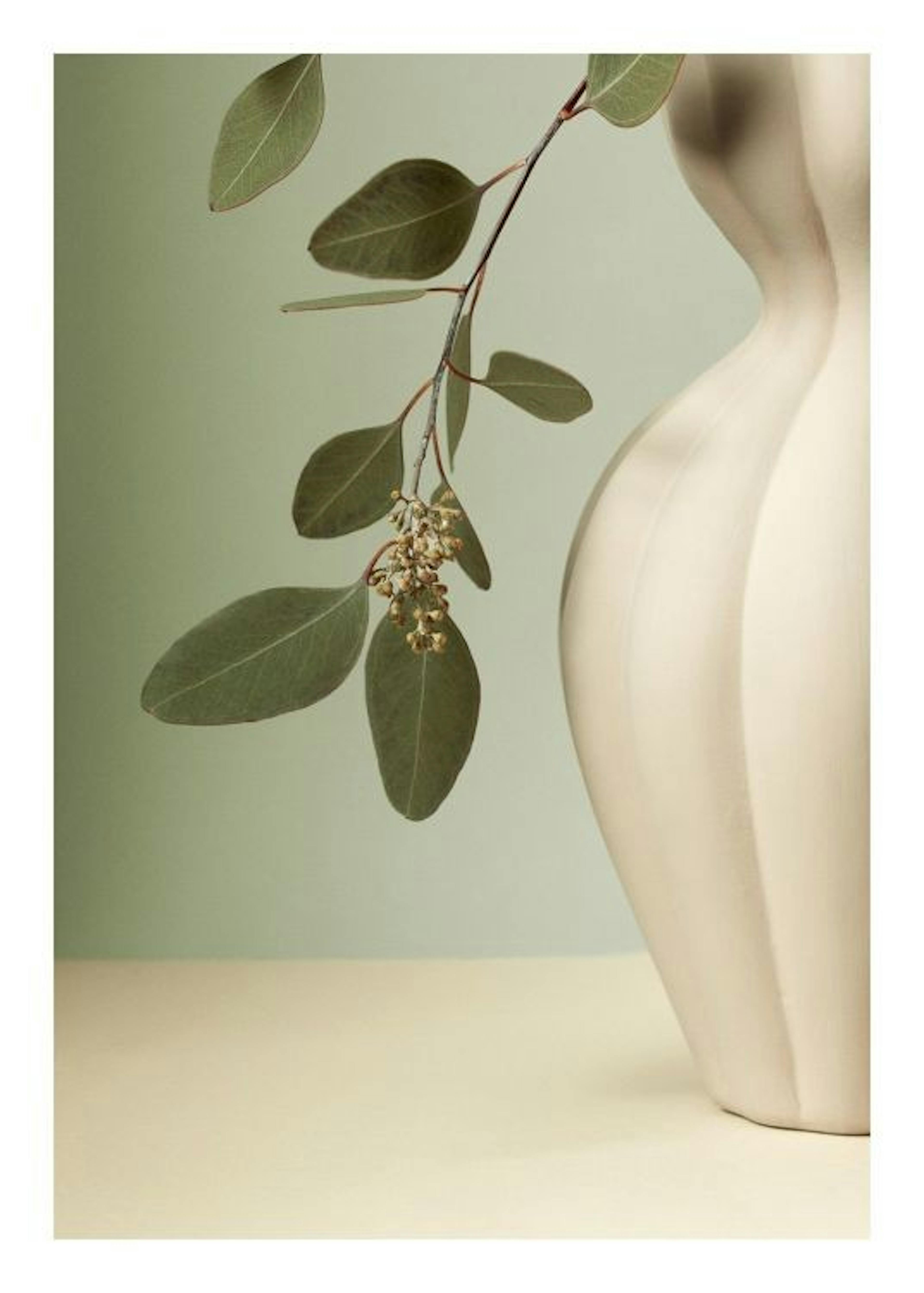 Soft Eucalyptus Poster