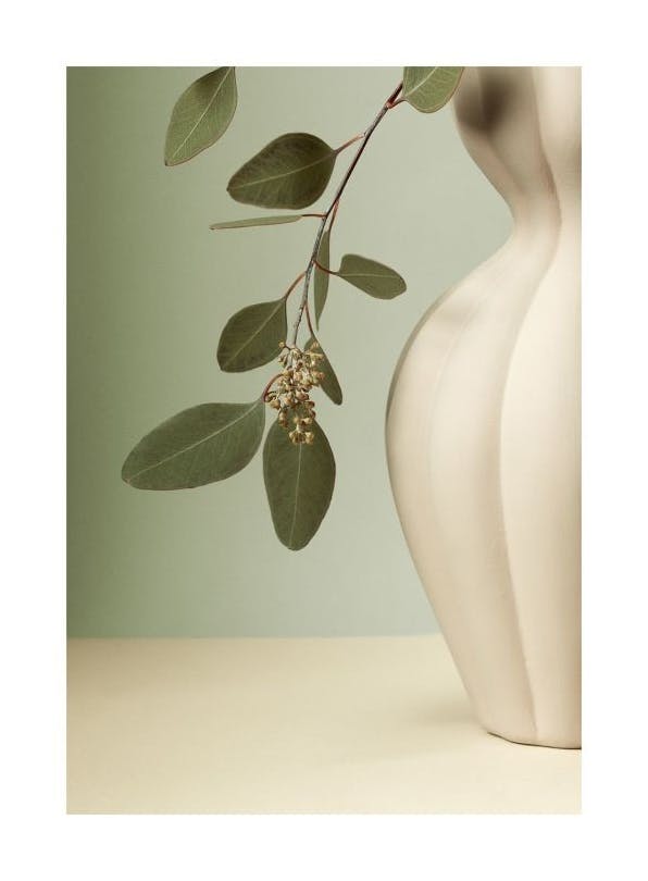 Soft Eucalyptus Affiche (50x70 cm)  Plantes vertes