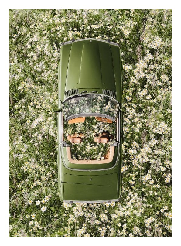 Floral Escape Poster (50x70 cm)