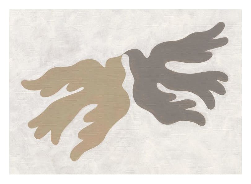 Reflecting Doves Poster (50x70 cm)