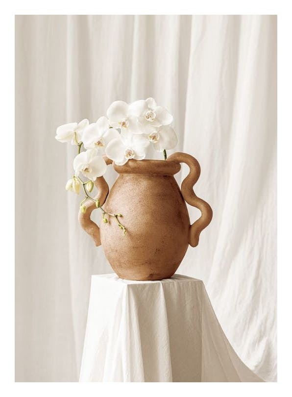 Orchids in Vase Affiche (30x40 cm) - Photographies