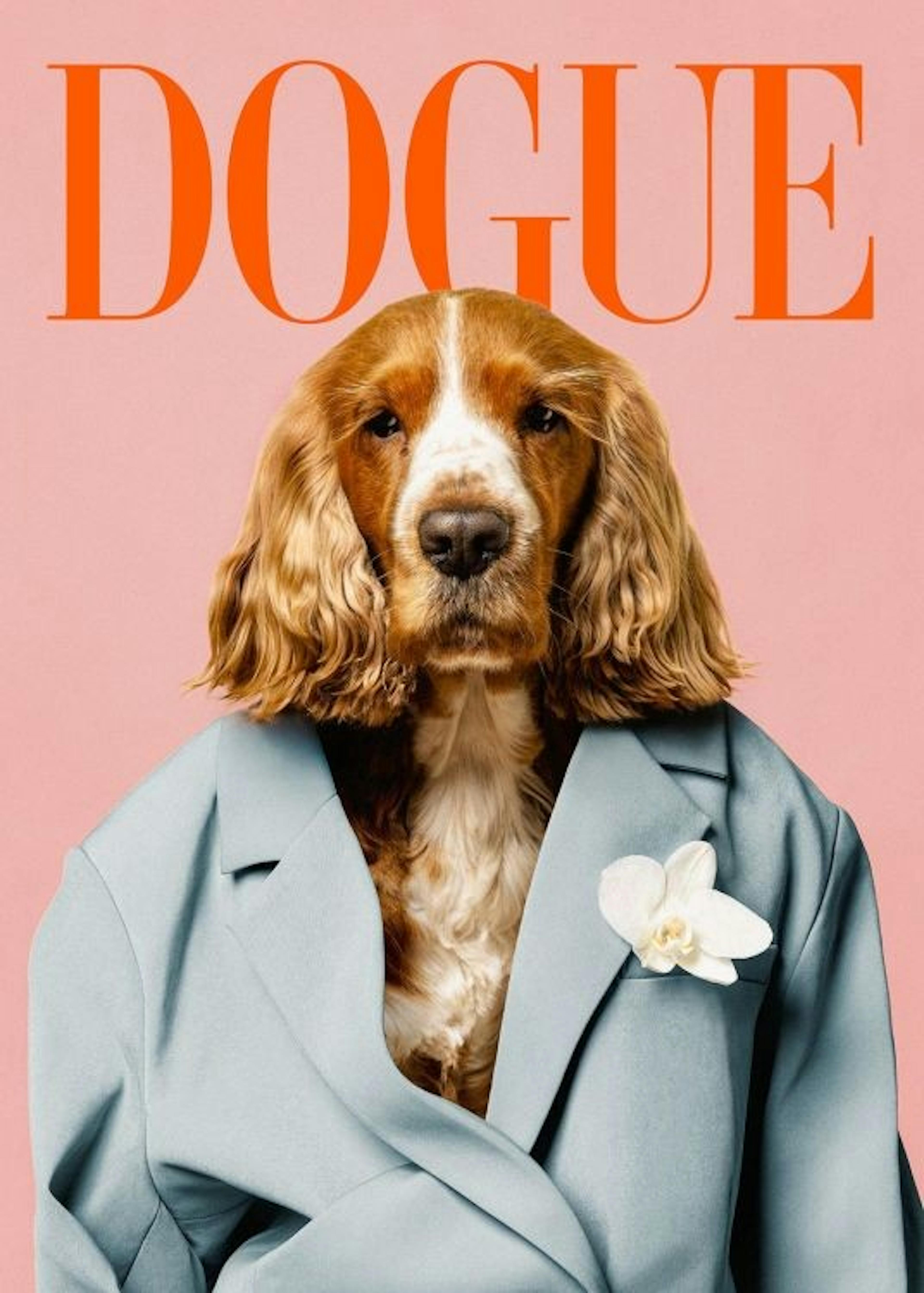 Dogue Print