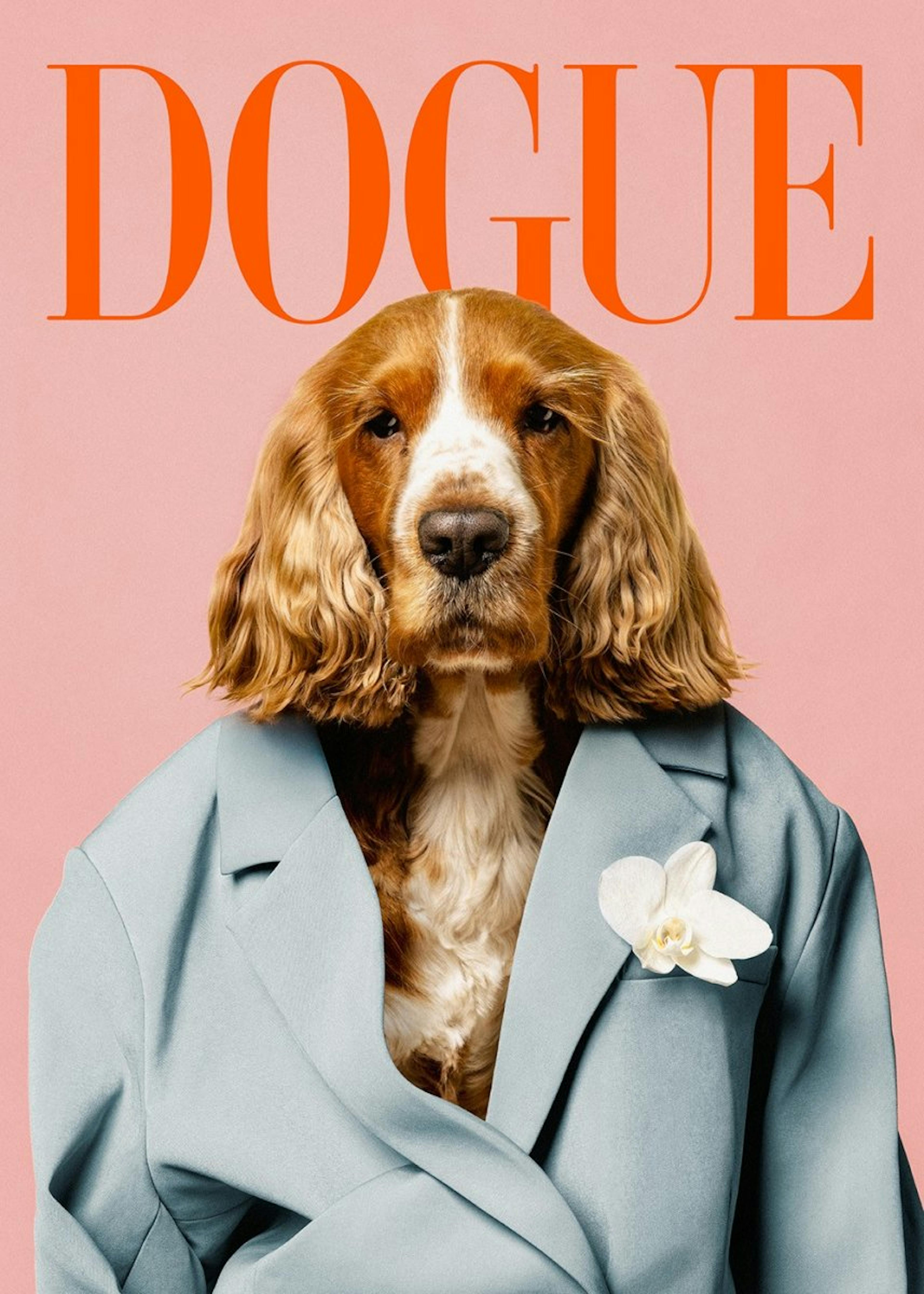 Dogue Print 0