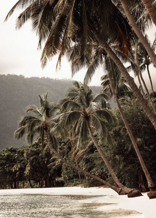 Tropical Embrace Print 0