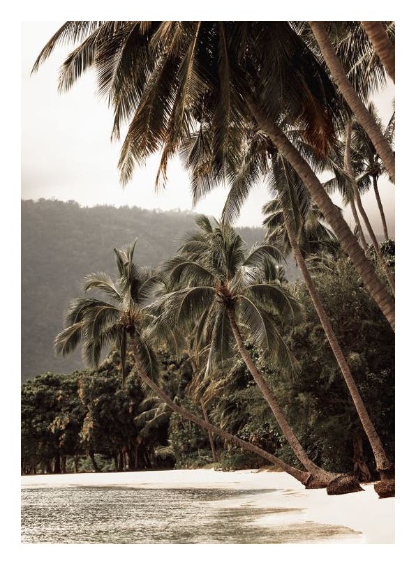 Prints - Tropical Embrace Print (50x70 cm) - Palm prints