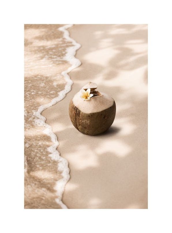 Coconut Breeze Affiche (21x30 cm) - Tableaux de plages