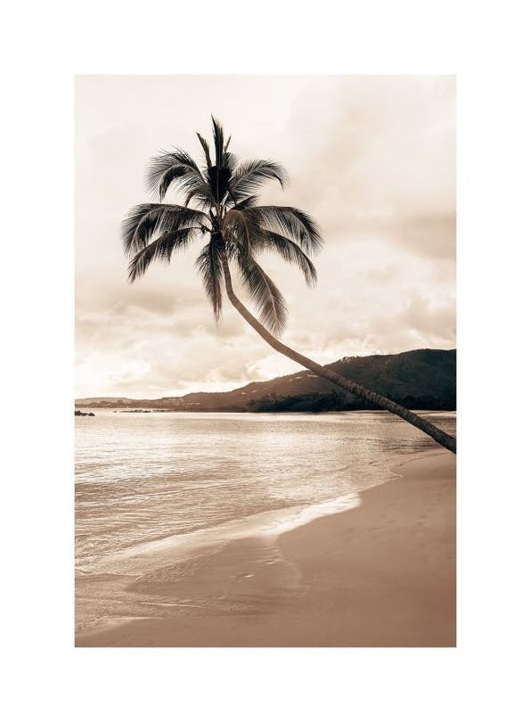 Prints - Golden Palm Trees Print (70x100 cm) - Beach prints