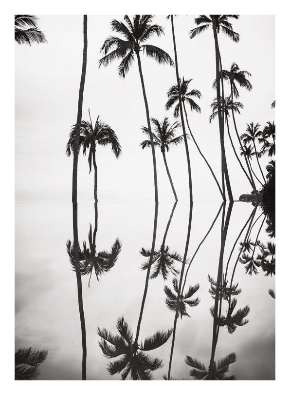 Prints - Tranquil Reflection Print (50x70 cm) - Landscape prints