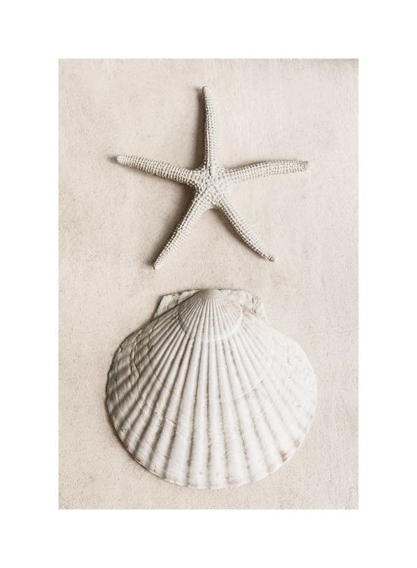 Tidal Secrets Plakat (50x70 cm)- Obrazy plaży