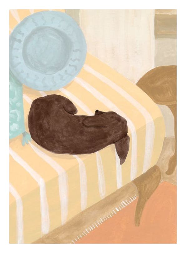 Nap Time Poster (50x70 cm) - Bilder mit Tiermotiven