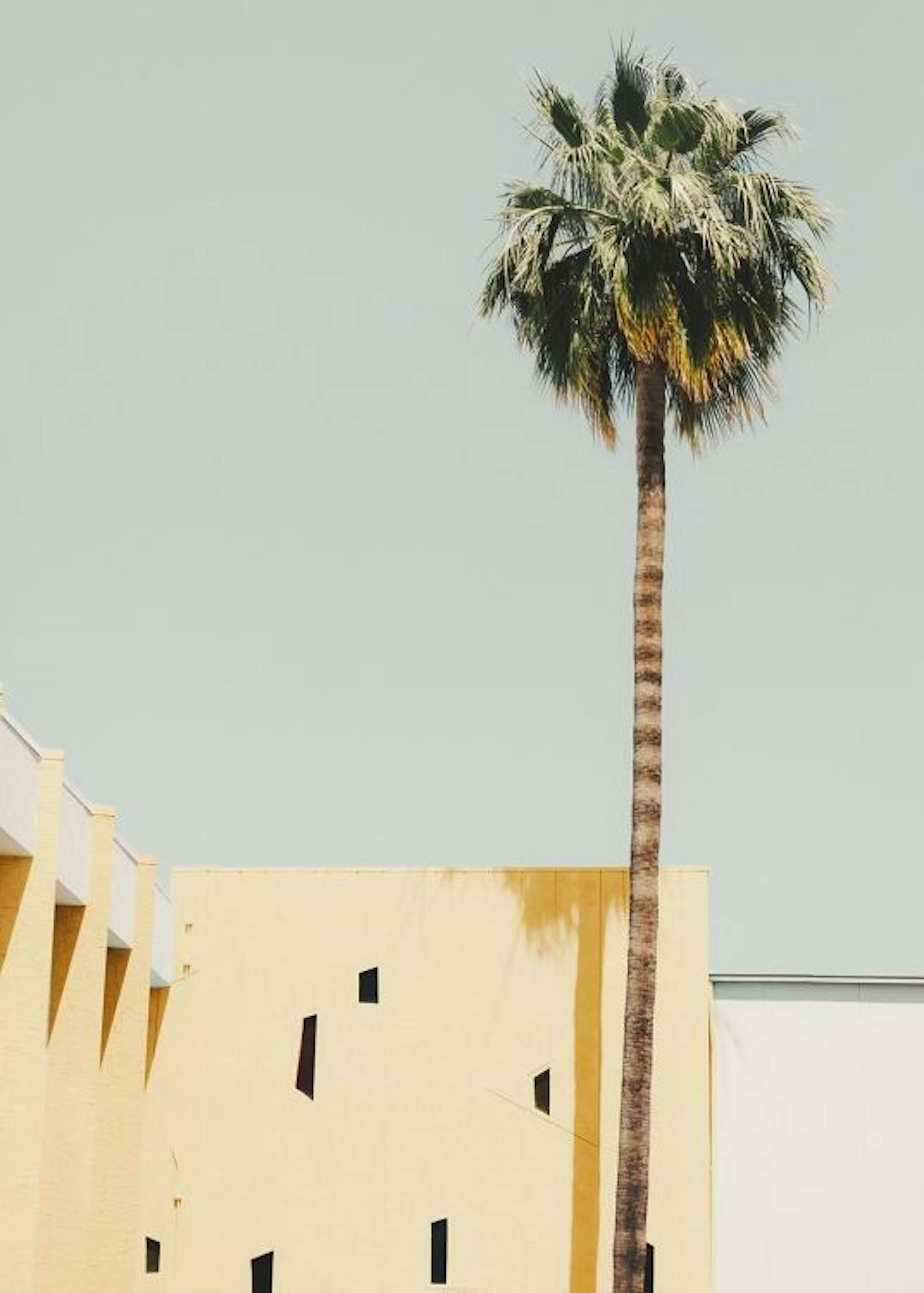 Palm Springs Serenity Poster 0