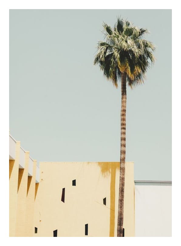Palm Springs Serenity Plakat (50x70 cm) - Plakater > Kunstplakater > Fotokunst