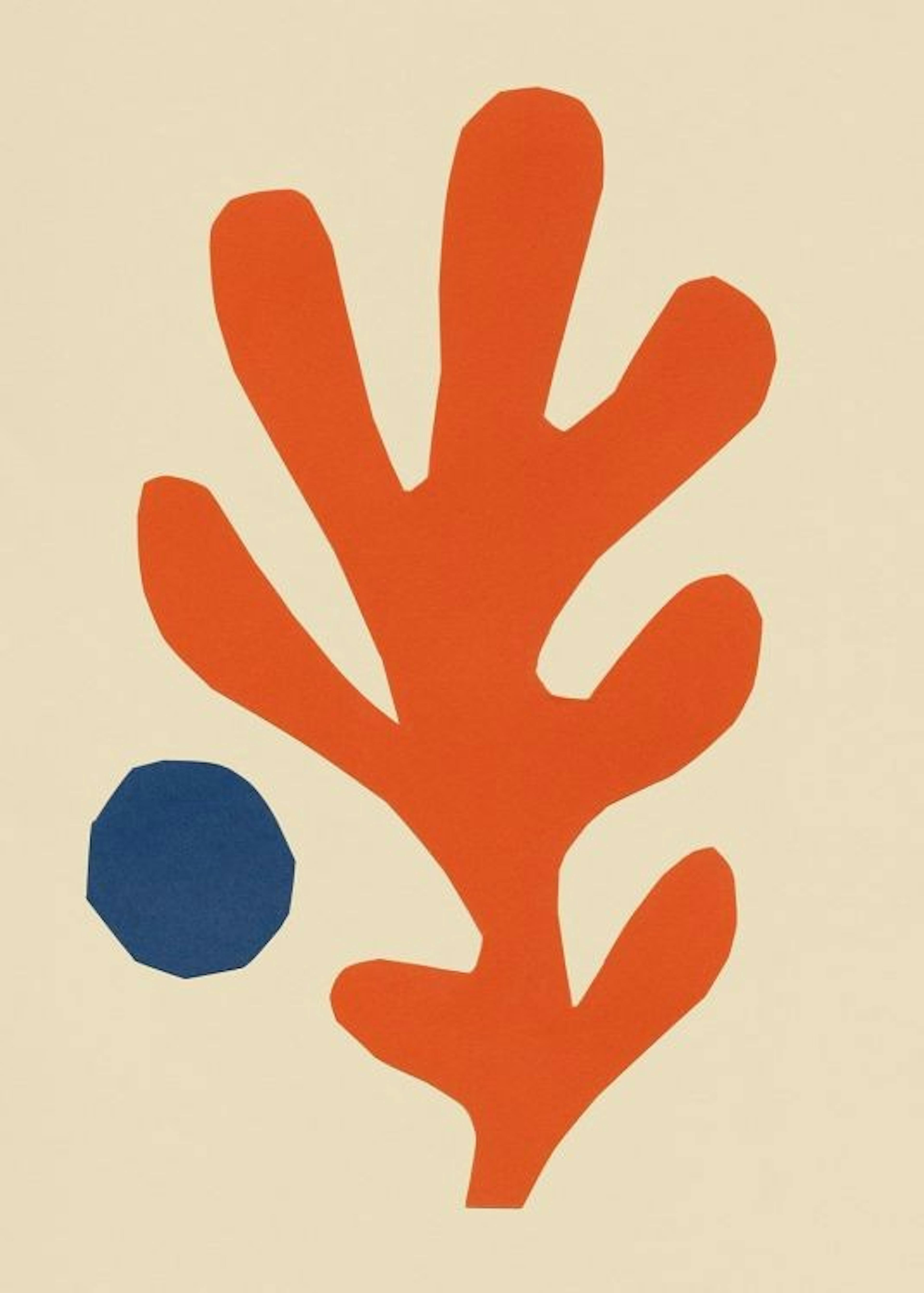Cutout Coral Poster 0