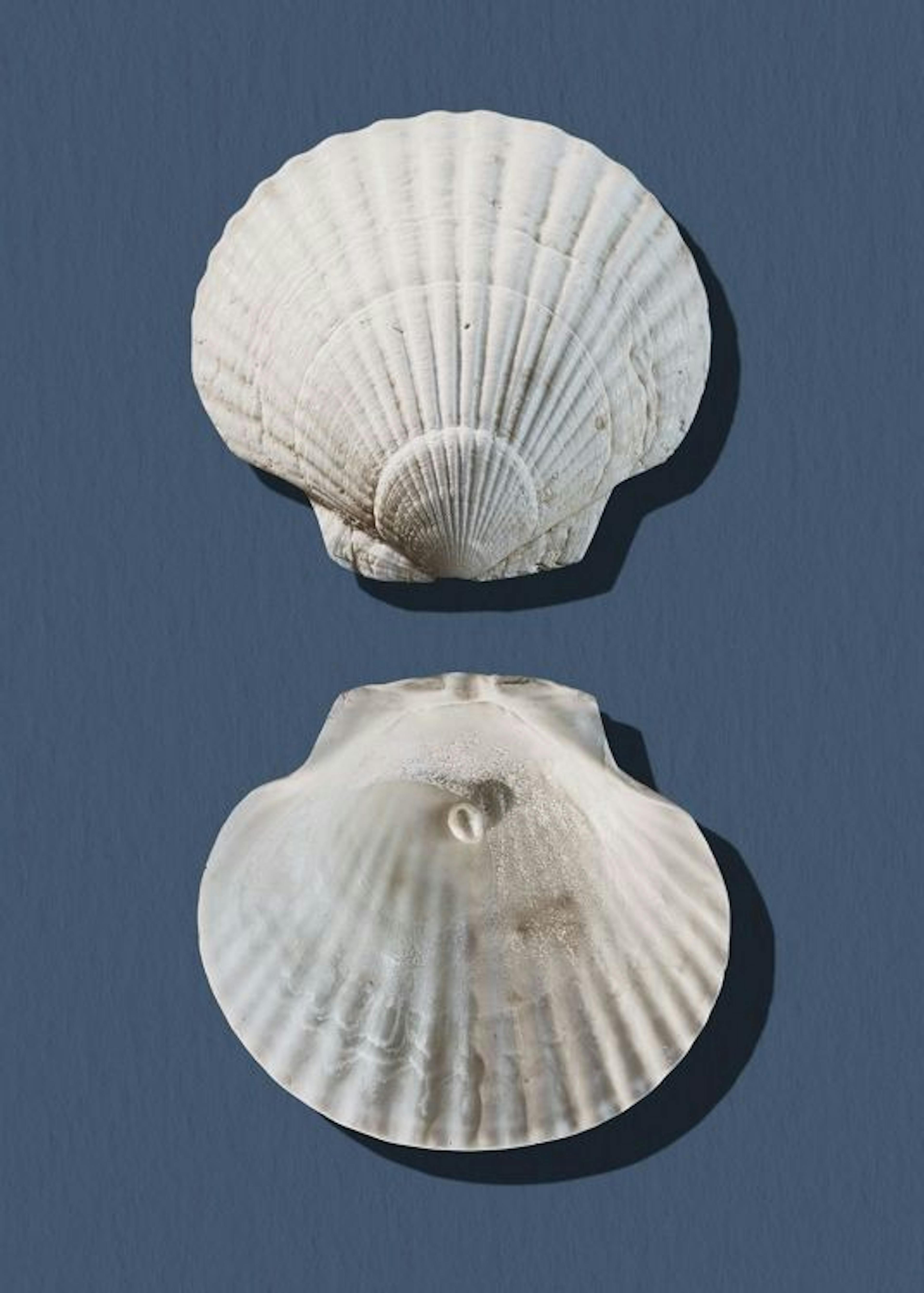 Sea Treasures Poster 0