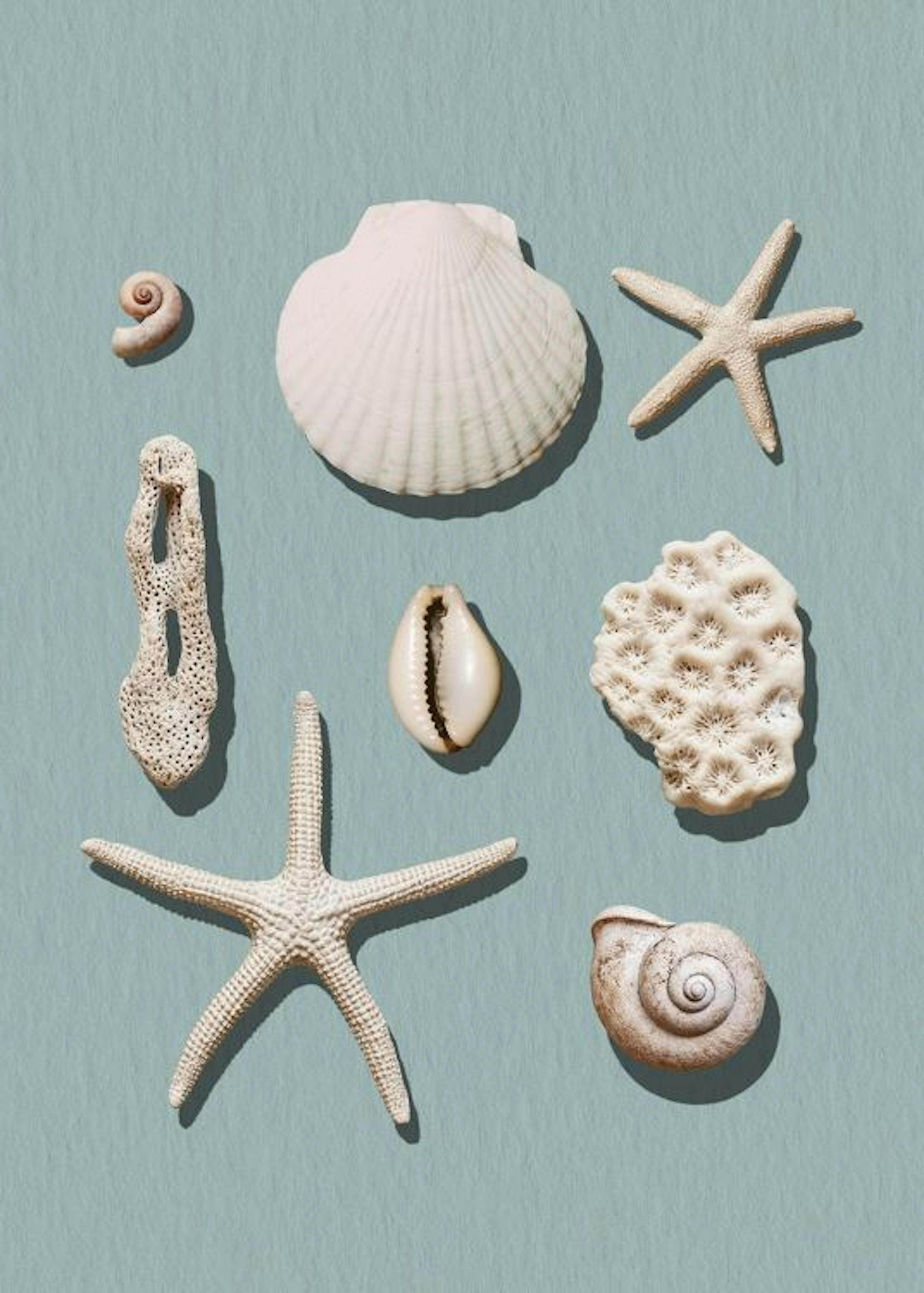 Marine Memories Poster 0