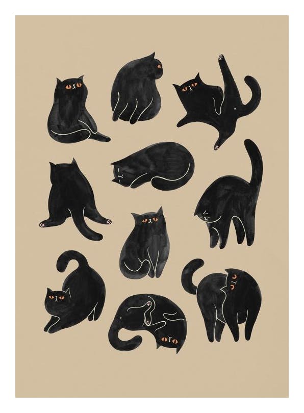 Kitty Yoga Poster (30x40 cm)
