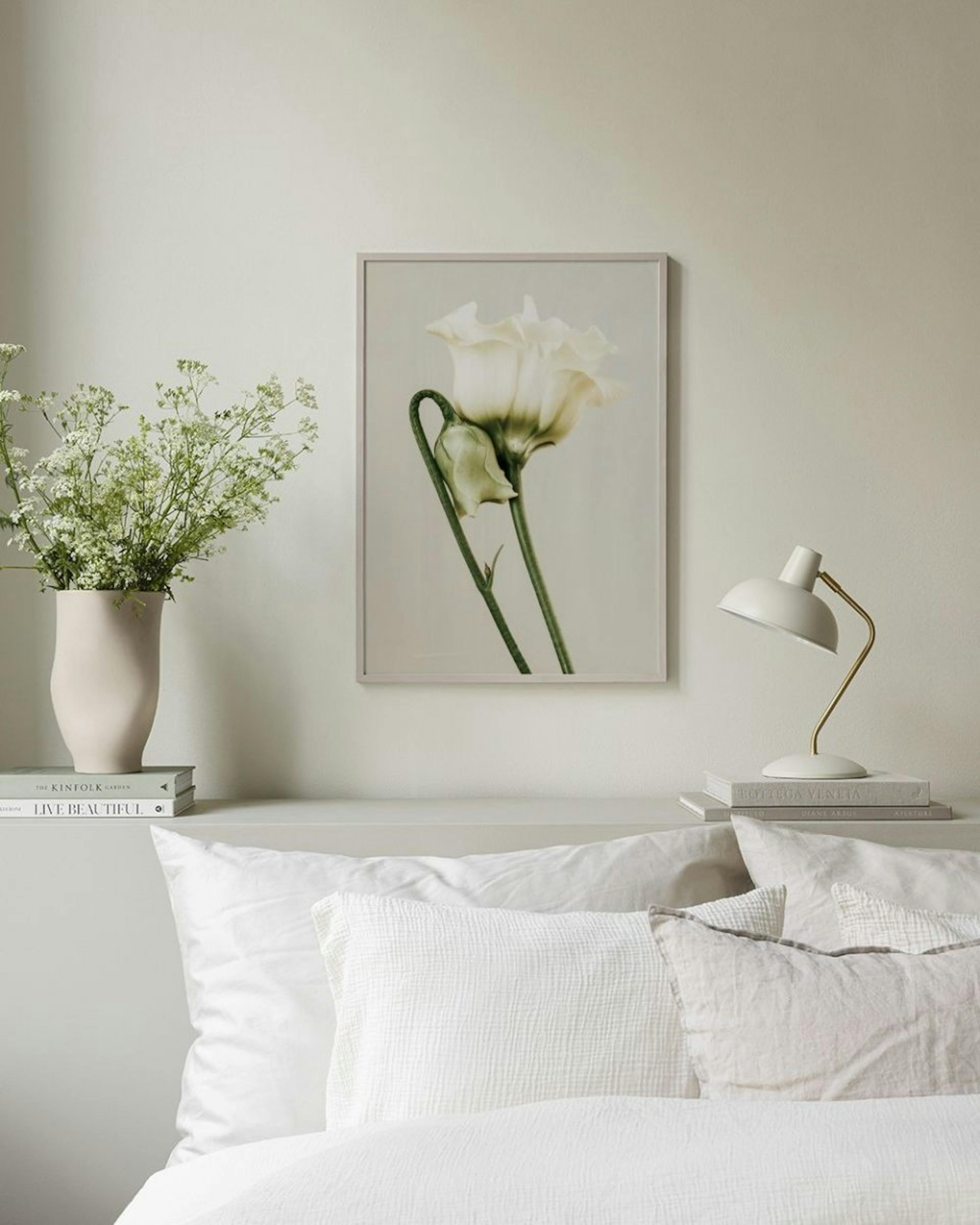 White Lisianthus Poster