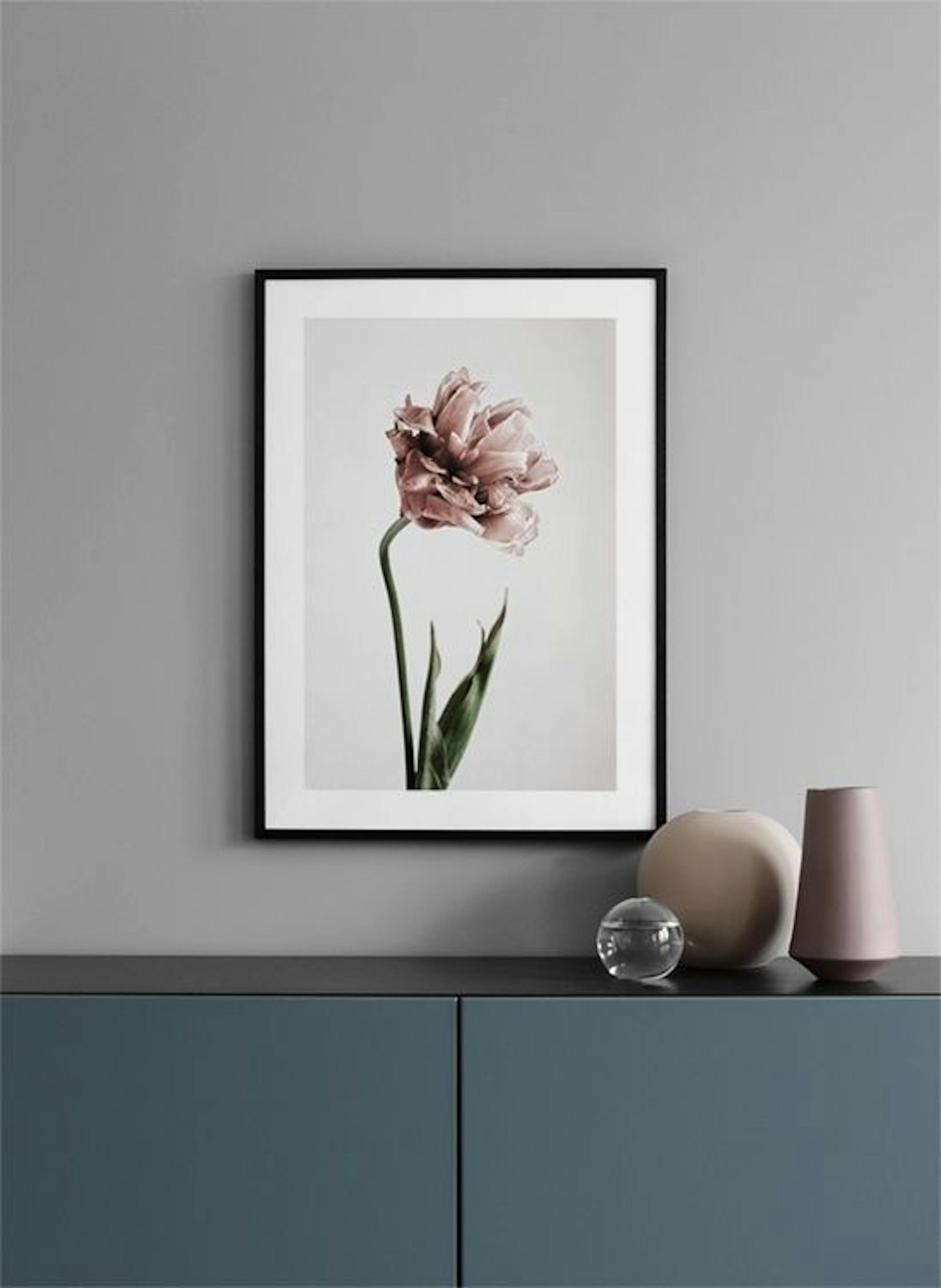 Pink Tulipe No1 Print