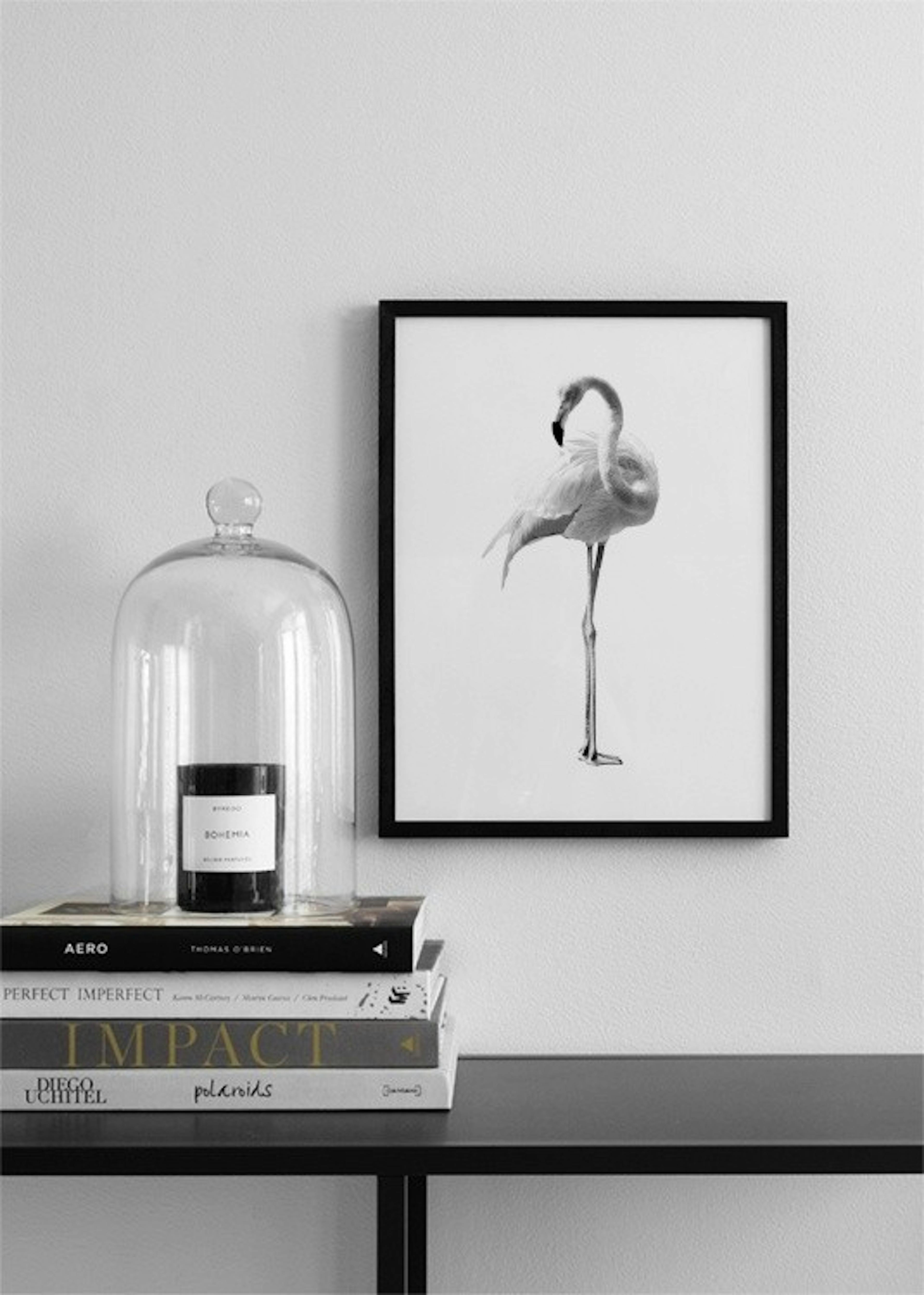 Flamingo Black And White Affiche