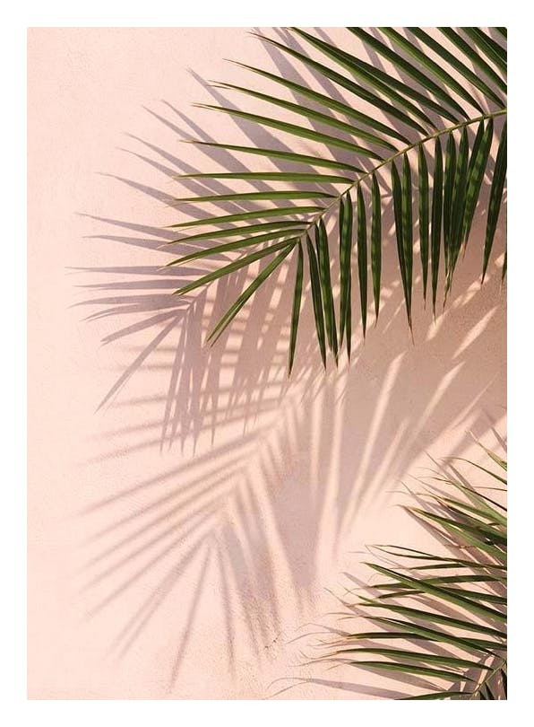 Pink Palm Poster (40x50 cm) - Fotokunst