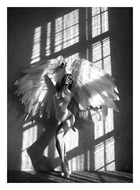 In The Sunlight Plakat (50x70 cm)- Czarno-białe plakaty