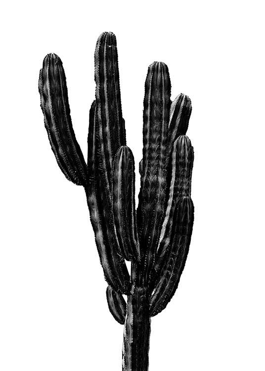delicatesse Rusteloos Alabama Black Cactus Three Poster