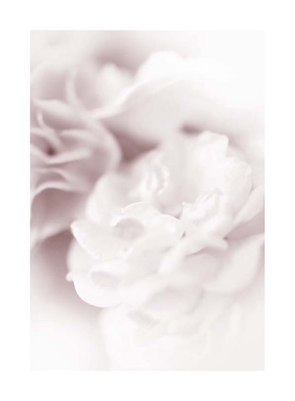Dusty Pearl Plakat (50x70 cm) - Plakater > Kunstplakater > Fotokunst