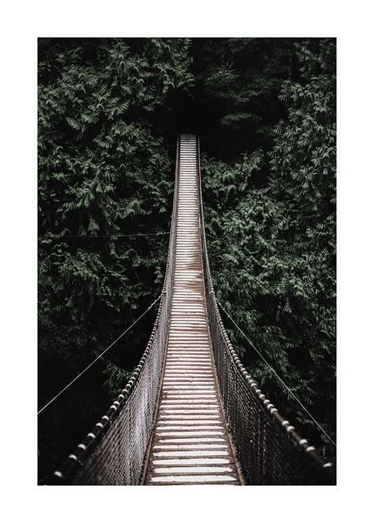 Forest Bridge Affiche 0