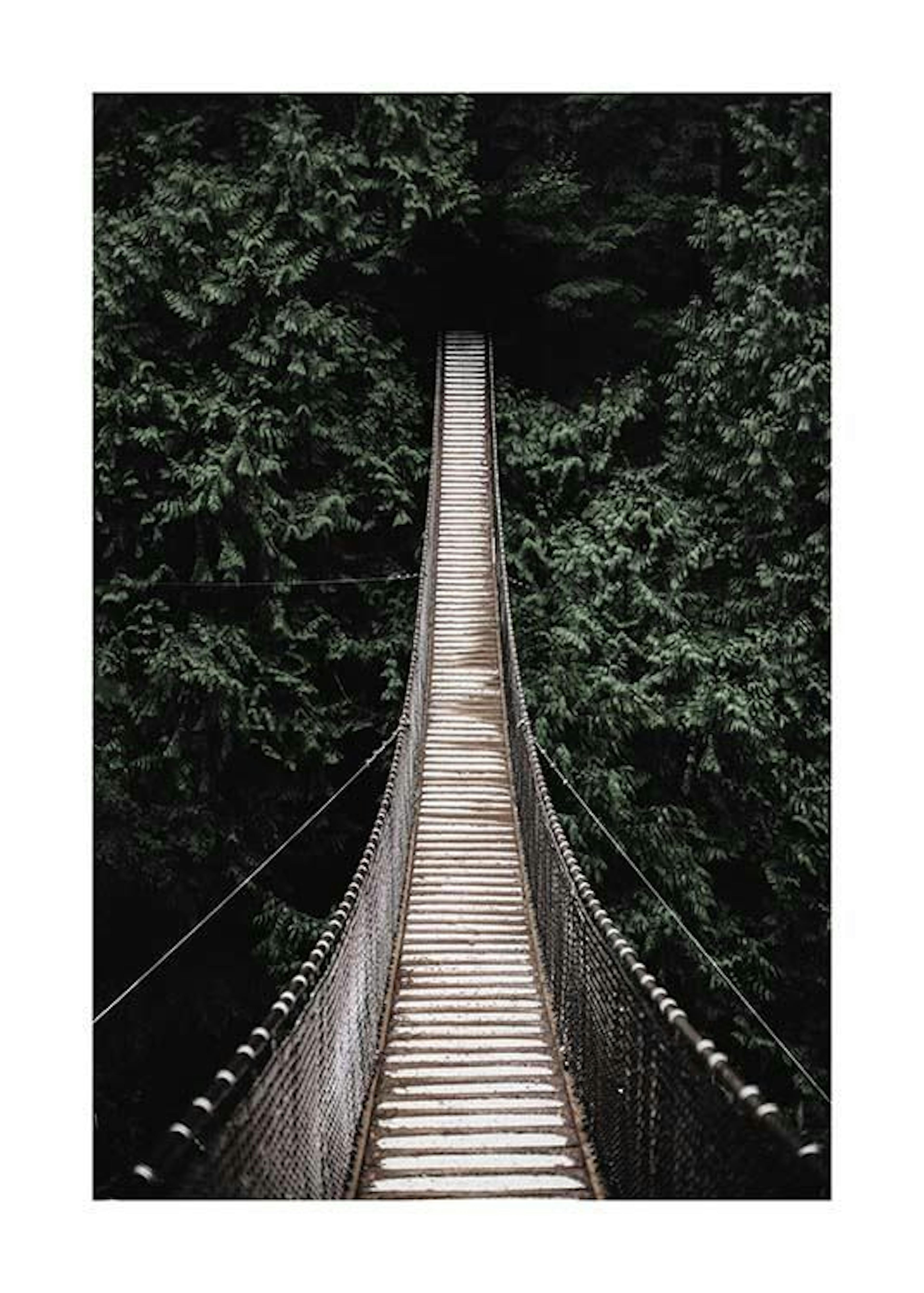 Forest Bridge Print 0