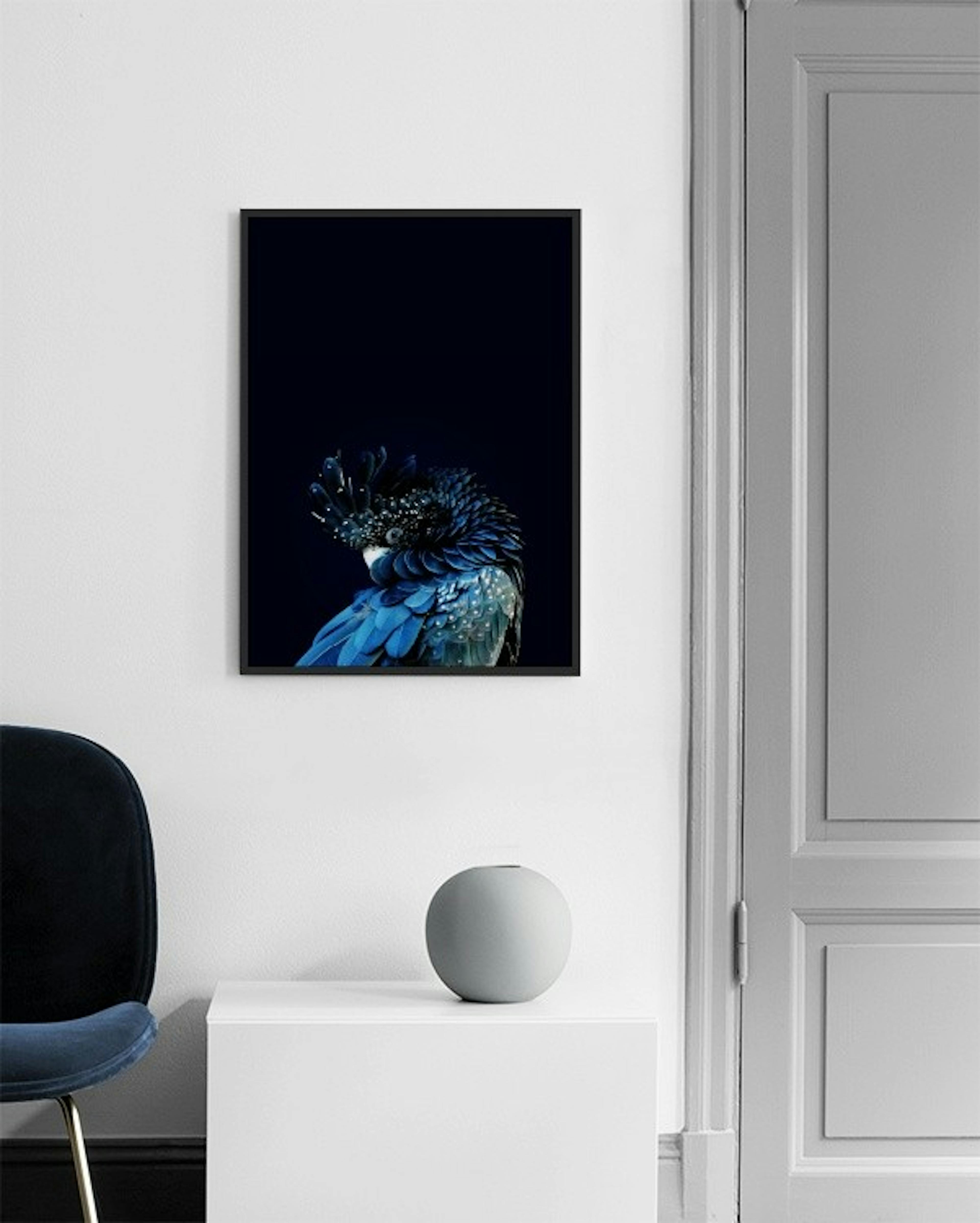 Blue Cockatoo Poster