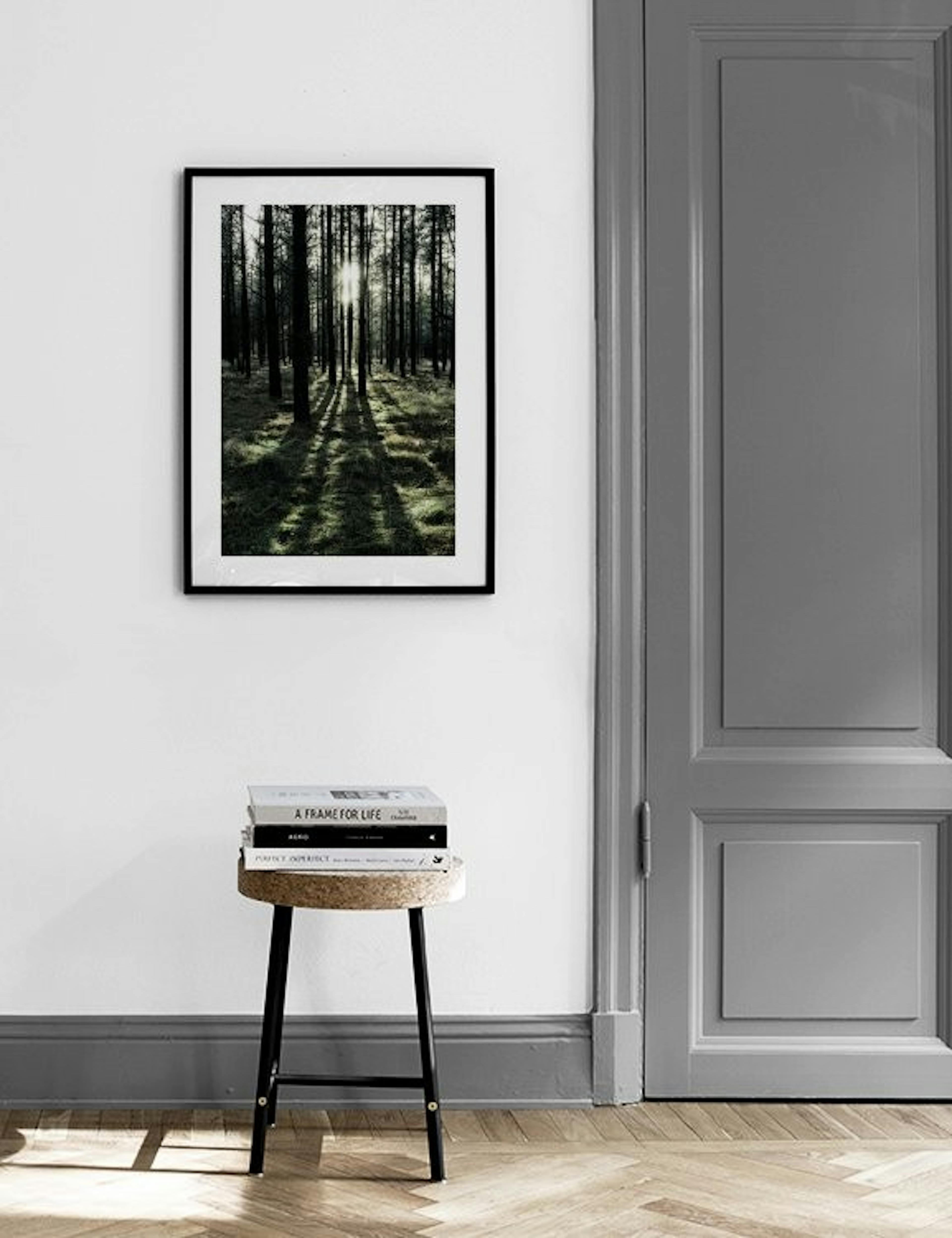 Sunlight In Forest Print