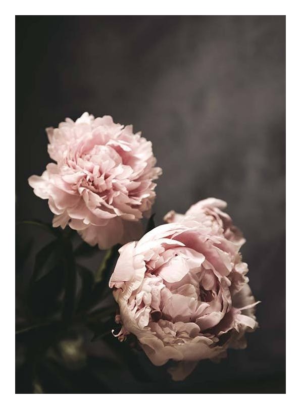 Prints - There's Beauty Print (30x40 cm) - Floral prints
