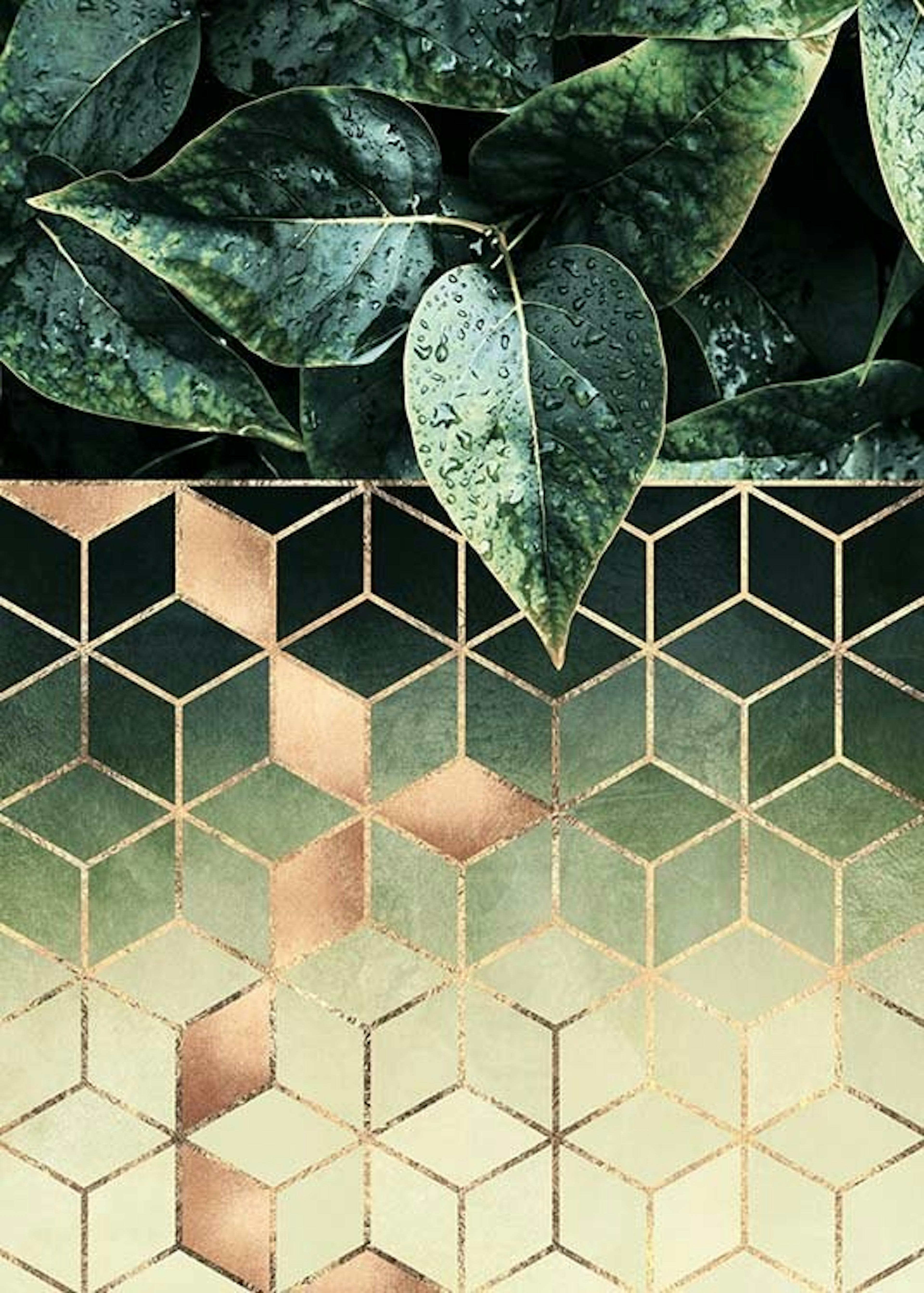 Elisabeth Fredriksson - Leaves And Cubes Plakat 0