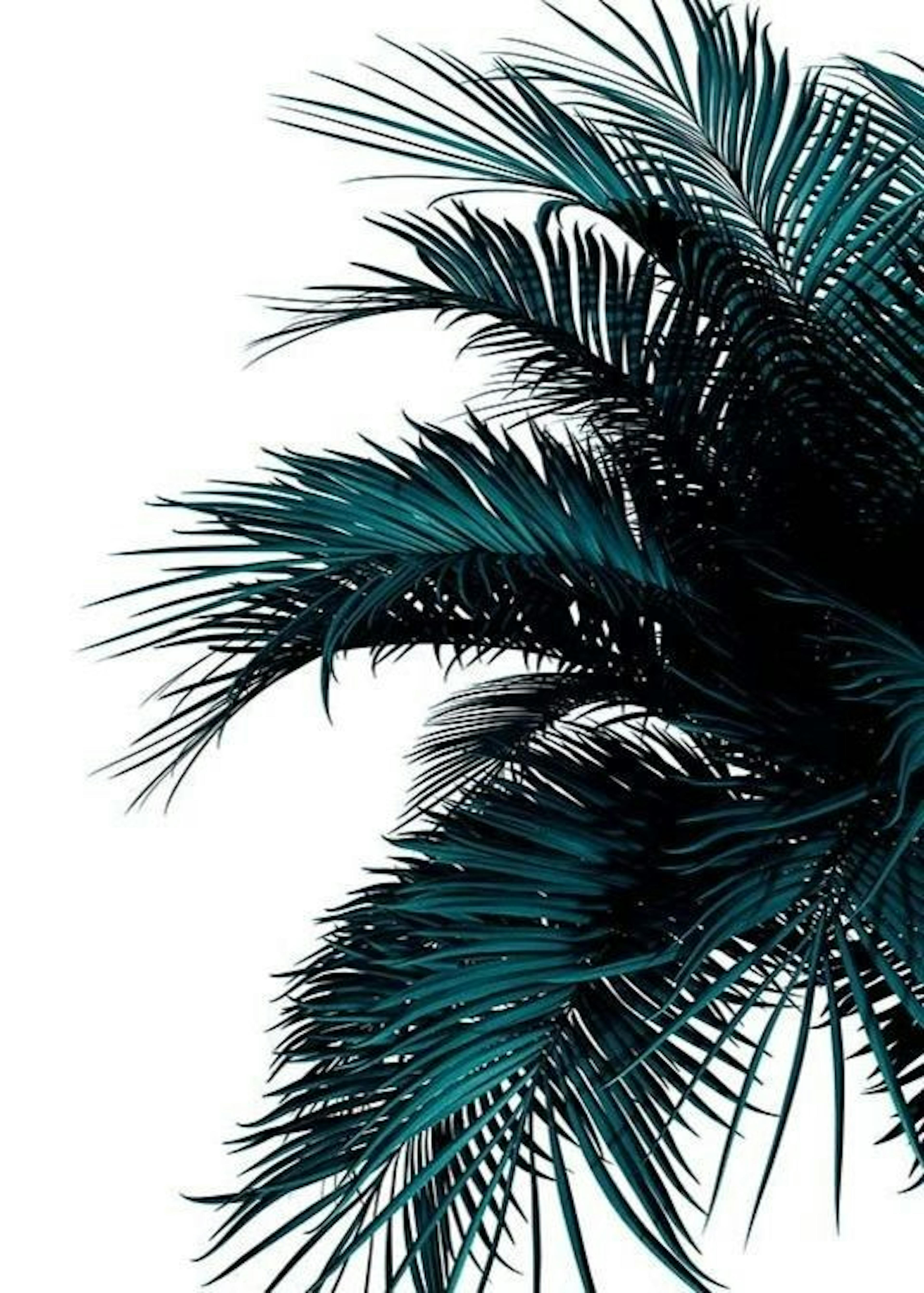 Green Palm Tree Affiche